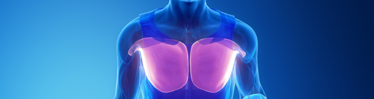 Bio-Enhanced Pectoralis Major Tendon Reconstruction: Optimizing Recovery with Precision Surgical Techniques and Biologic Innovation