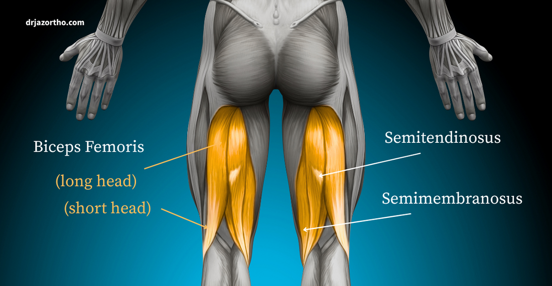 Orthobiologics for Hamstring Injuries: What PRP and PPP Can (and Cannot) Add to Your Recovery