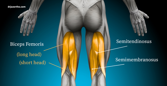 Orthobiologics for Hamstring Injuries: What PRP and PPP Can (and Cannot) Add to Your Recovery