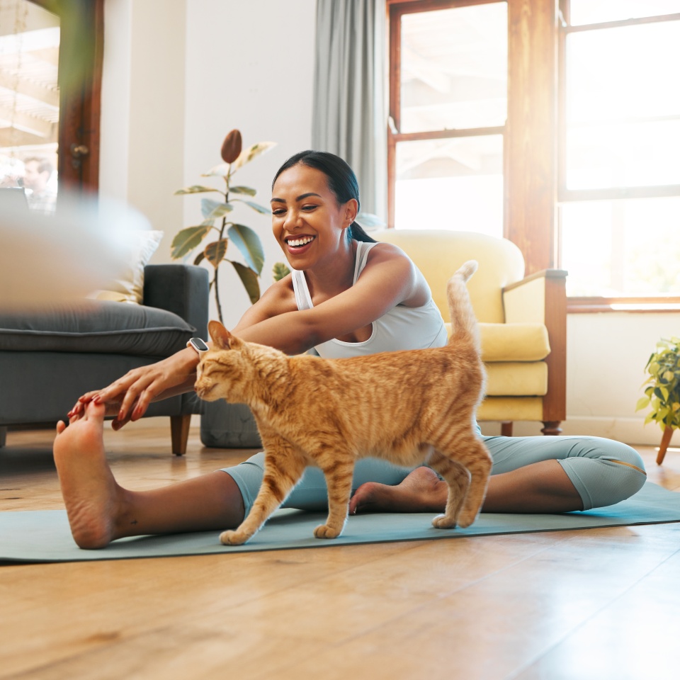 Cat, fitness or happy woman in yoga stretching legs for body flexibility, wellness or healthy lifestyle. Kitten, pet animal or zen girl in exercise, workout or training warm up in house exercising.
