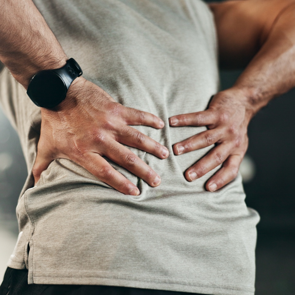 Fitness, back pain and hands of man at gym for training with muscle, problem or arthritis. Sports, injury and guy athlete with joint massage for backache, fibromyalgia or osteoporosis accident.