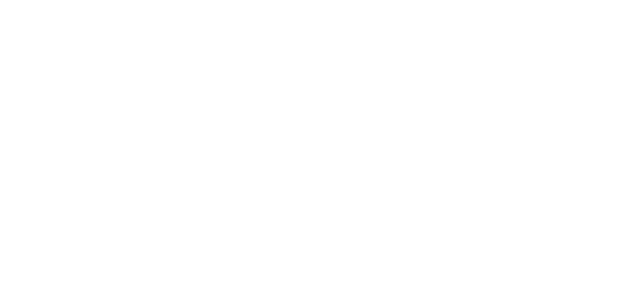 logo aaos
