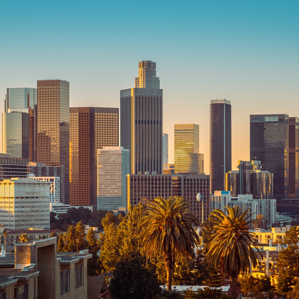 Downtown city skyline at sunset with tall buildings and palm trees in the foreground under a clear blue sky.